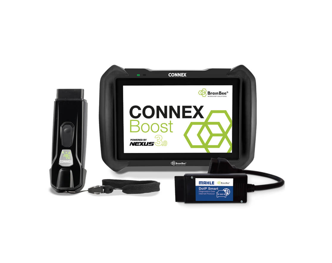Brain Bee Connex BT Boost